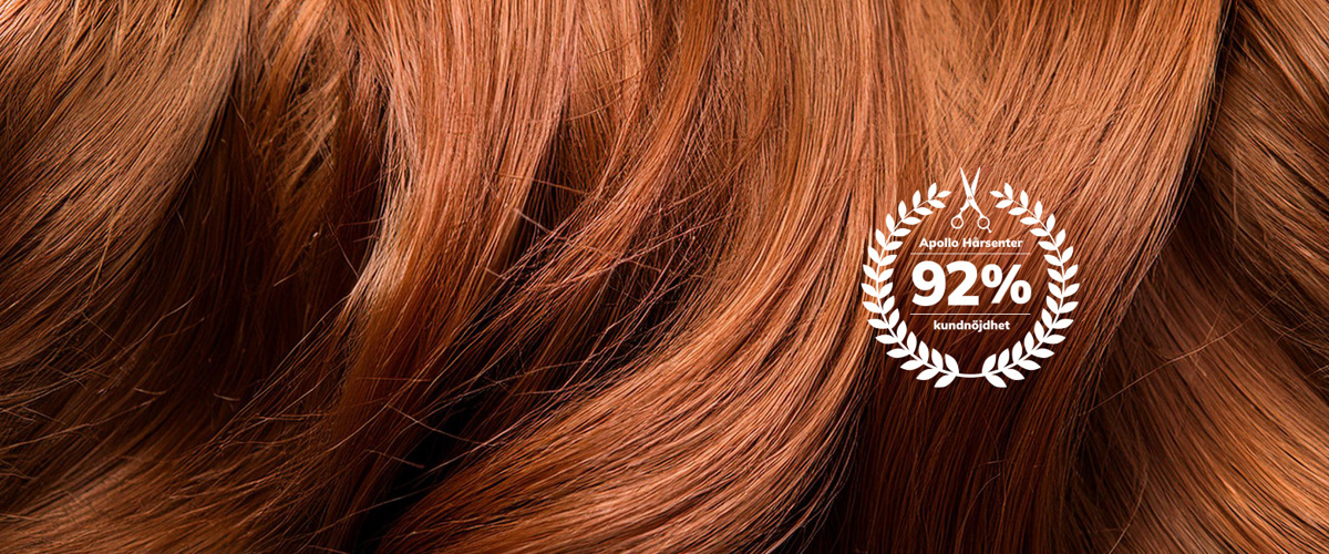 Apollo Ktu Topbanner 1920X650 Mindre