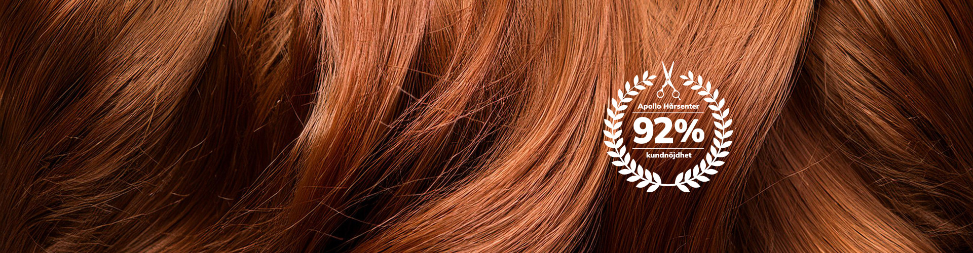 Apollo Ktu Topbanner 1920X650 Mindre