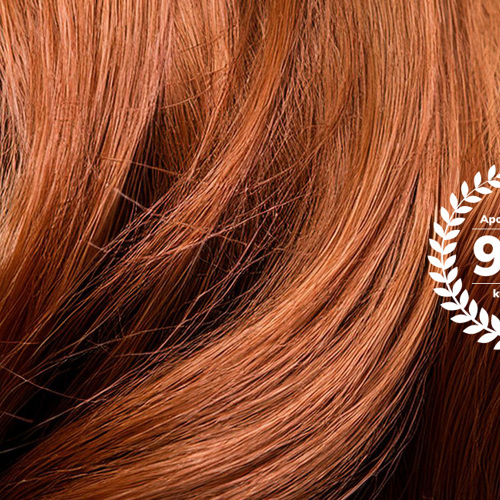 Apollo Ktu Topbanner 1920X650 Mindre